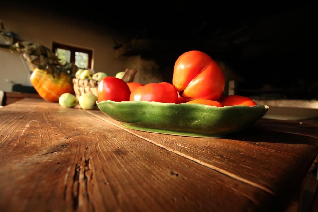 Quinta Da Rabacosa - Turismo Rural คาสโตร ดายเร ภายนอก รูปภาพ