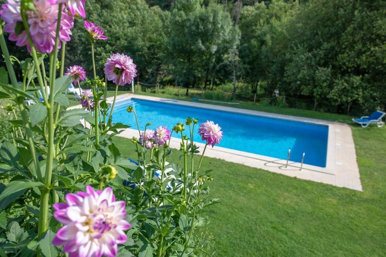 Quinta Da Rabacosa - Turismo Rural คาสโตร ดายเร ภายนอก รูปภาพ