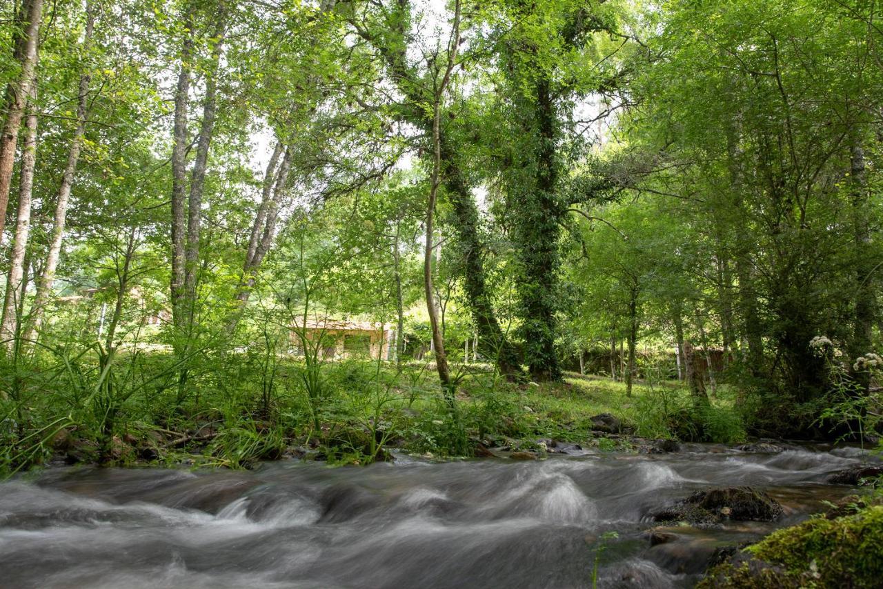 Quinta Da Rabacosa - Turismo Rural คาสโตร ดายเร ภายนอก รูปภาพ