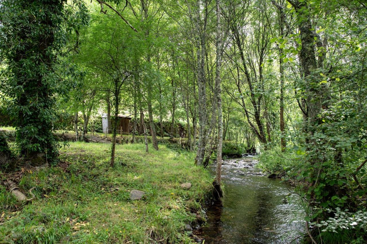 Quinta Da Rabacosa - Turismo Rural คาสโตร ดายเร ภายนอก รูปภาพ