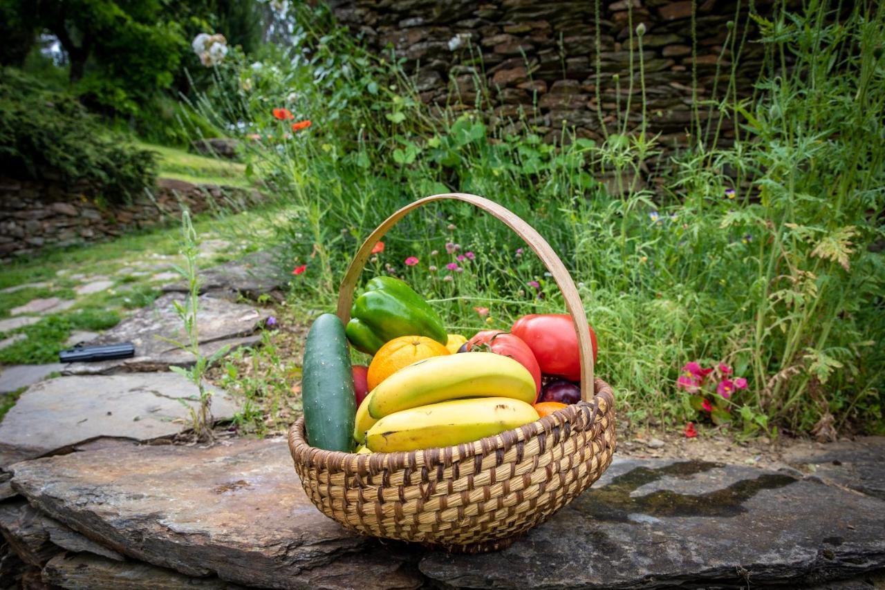 Quinta Da Rabacosa - Turismo Rural คาสโตร ดายเร ภายนอก รูปภาพ