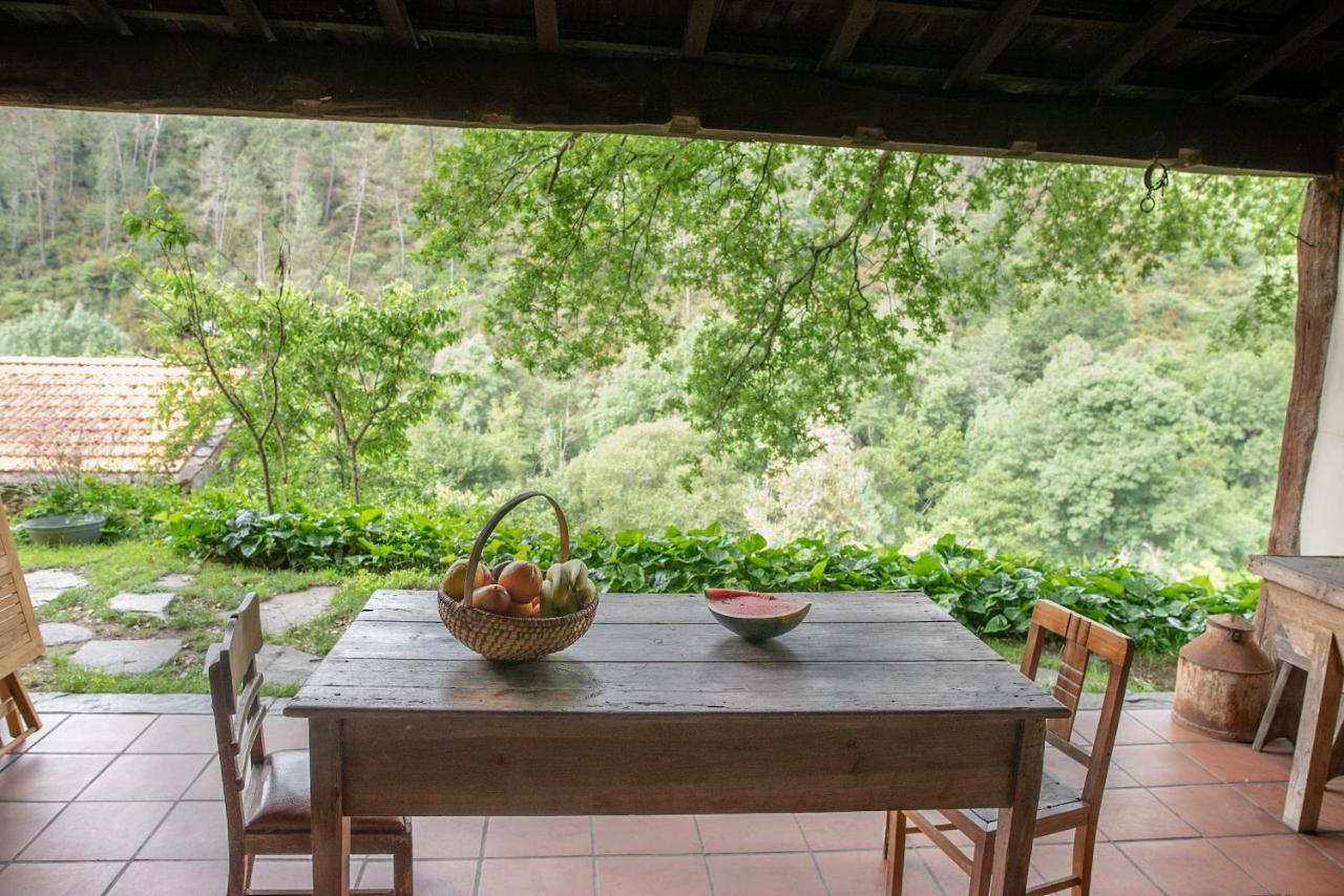 Quinta Da Rabacosa - Turismo Rural คาสโตร ดายเร ภายนอก รูปภาพ