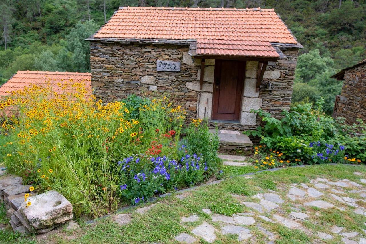 Quinta Da Rabacosa - Turismo Rural คาสโตร ดายเร ภายนอก รูปภาพ