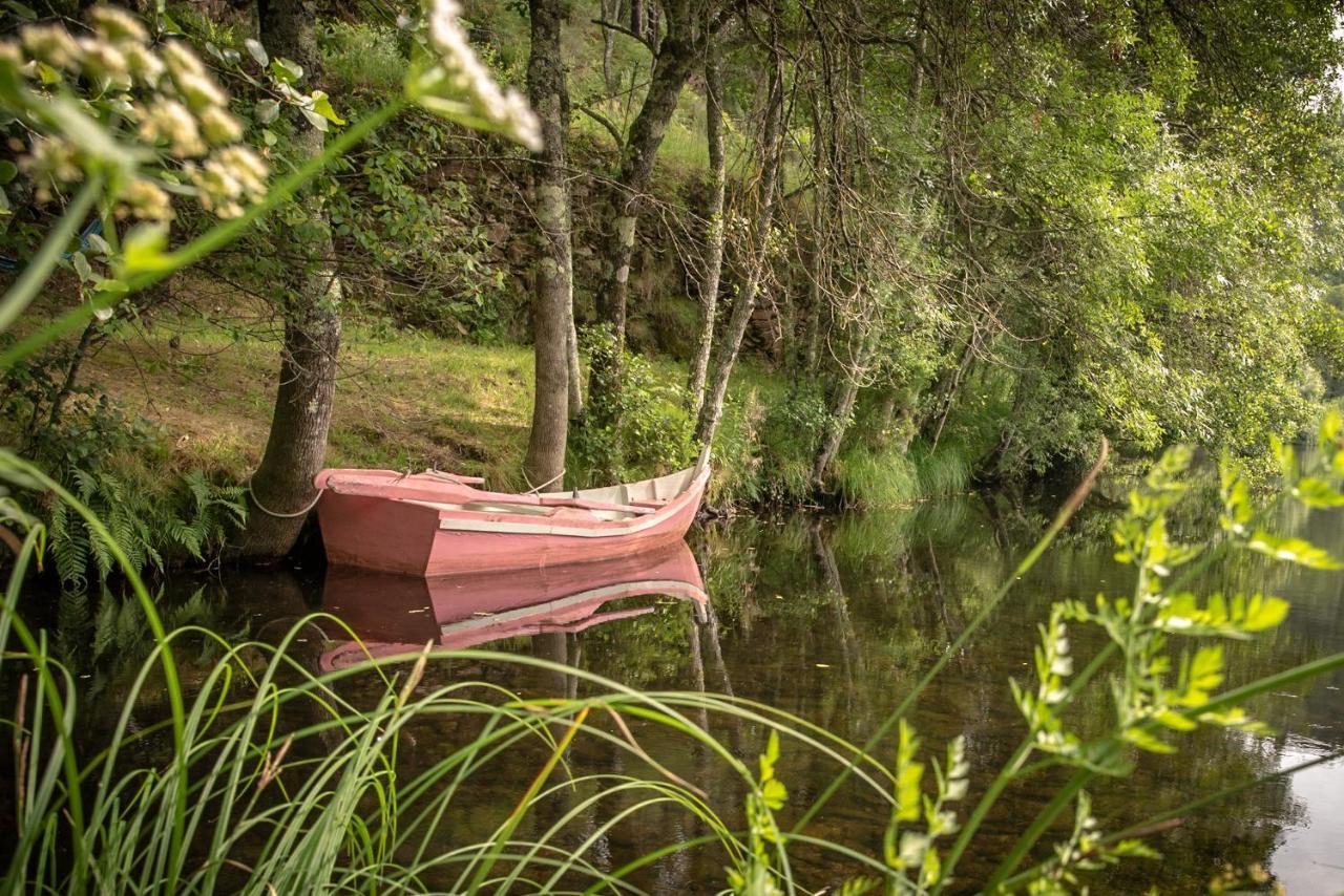 Quinta Da Rabacosa - Turismo Rural คาสโตร ดายเร ภายนอก รูปภาพ