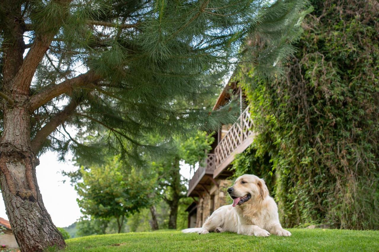 Quinta Da Rabacosa - Turismo Rural คาสโตร ดายเร ภายนอก รูปภาพ