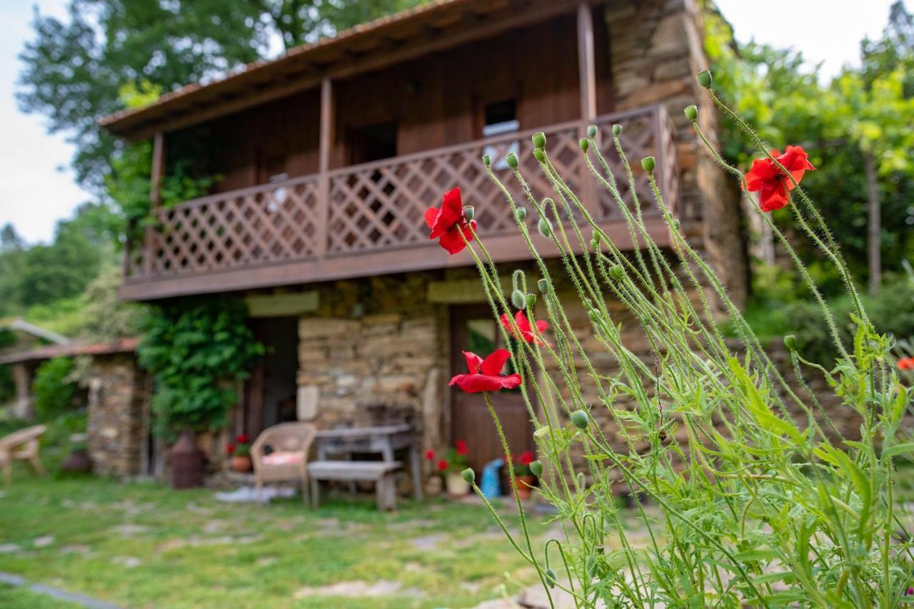 Quinta Da Rabacosa - Turismo Rural คาสโตร ดายเร ภายนอก รูปภาพ